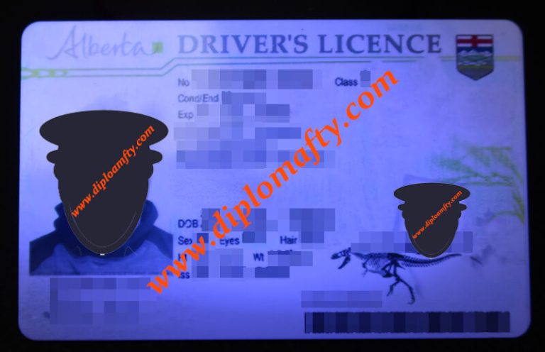 Alberta driver's licence