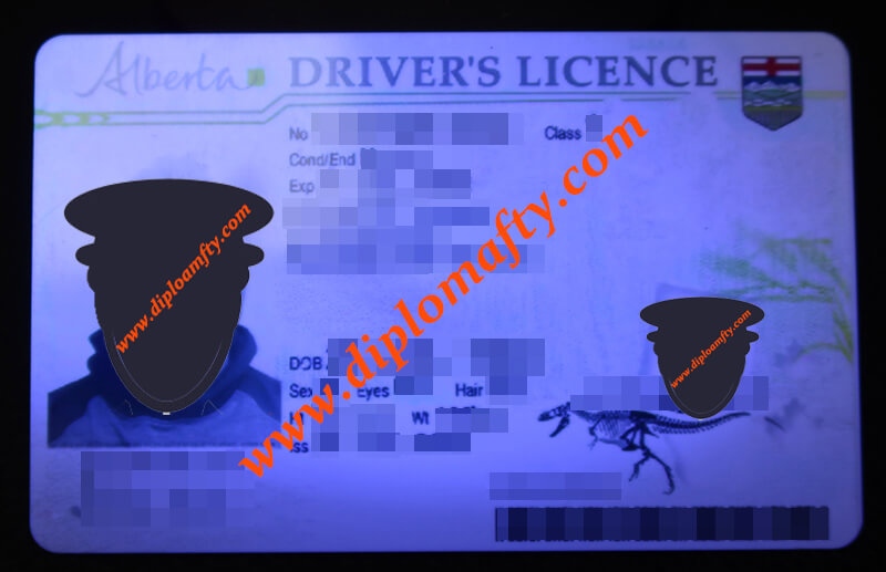 Alberta driver's licence