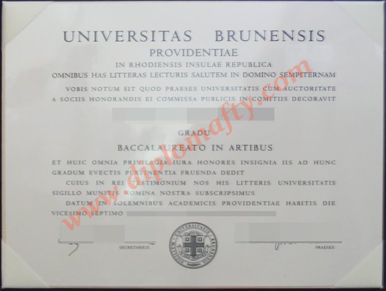 Brown University degree