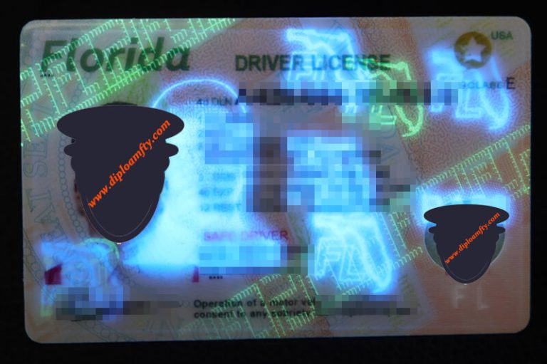 Florida Driver License