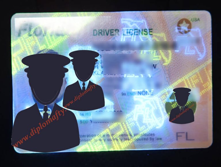 Florida Driver's licence