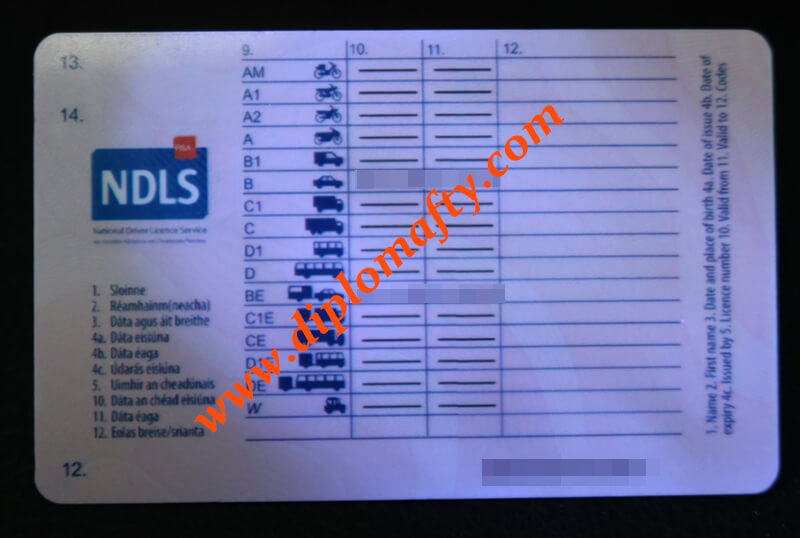 Ireland Driving Licence