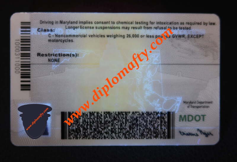 Maryland Driver License