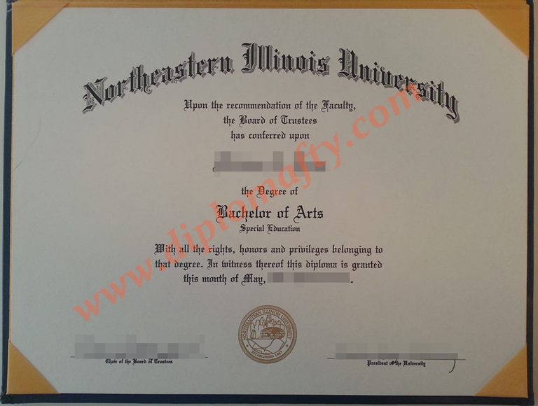 Northeastern Illinois University degree