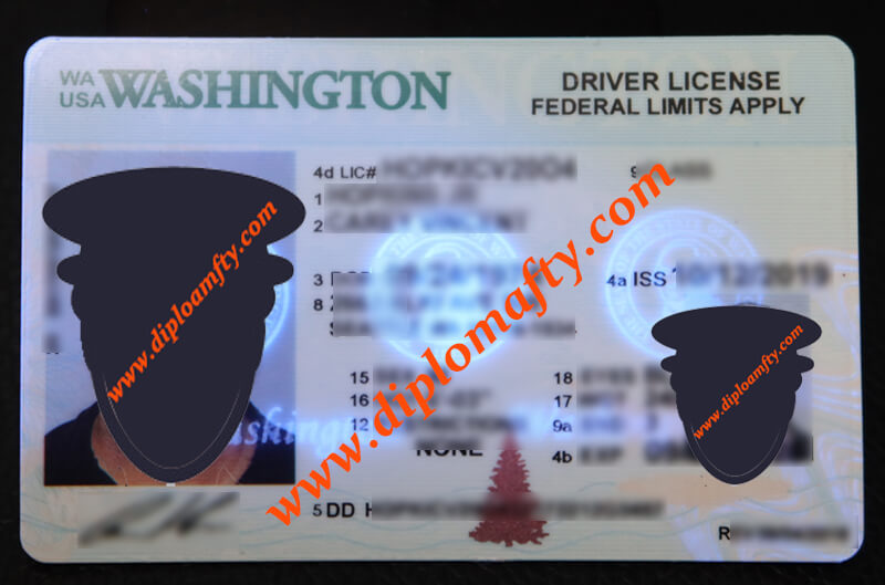 Washington Driver License