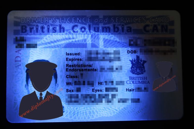 british columbia driver's license and services card