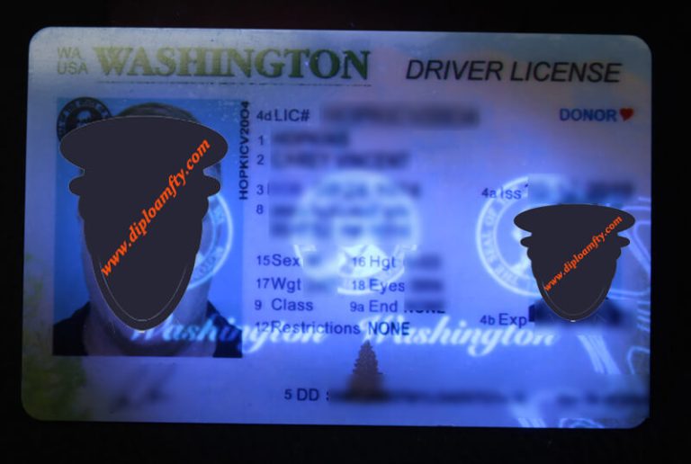 Washington driver license