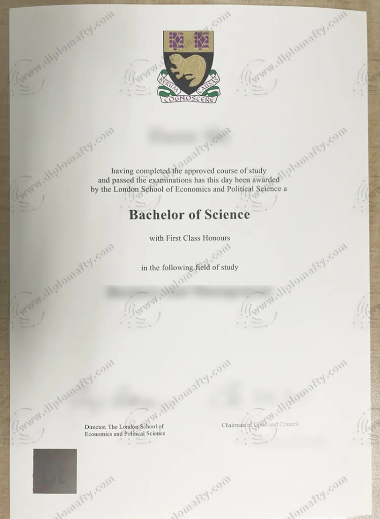 LSE Diploma