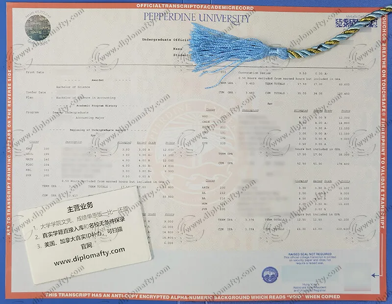 定制佩珀代因大学成绩单