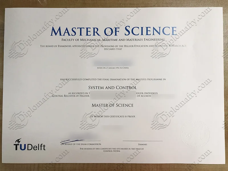 TUDelft Diploma