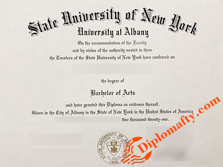 SUNY Albany Fake Diploma